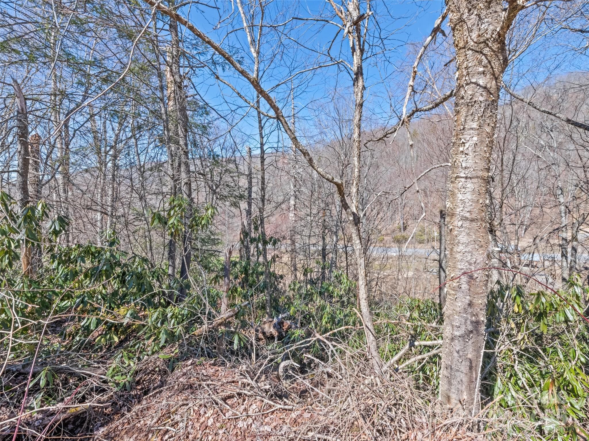 Lot at Maggie Valley, photo 11 of 13