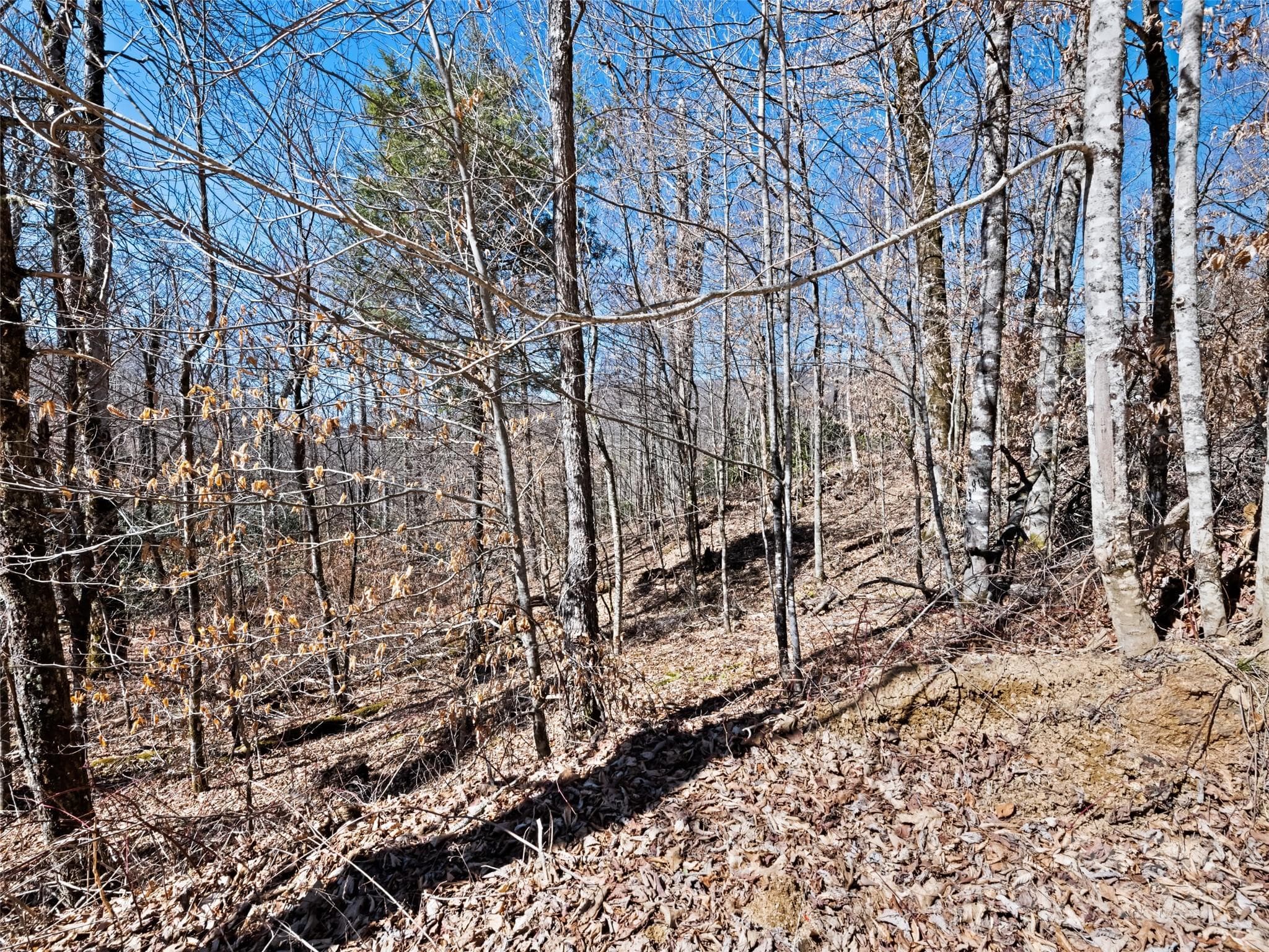 Lot at Maggie Valley, photo 7 of 11