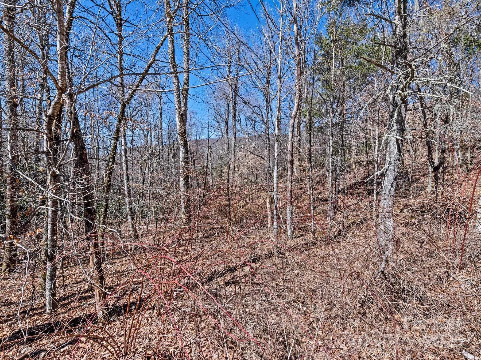 Lot at Maggie Valley, photo 8 of 11