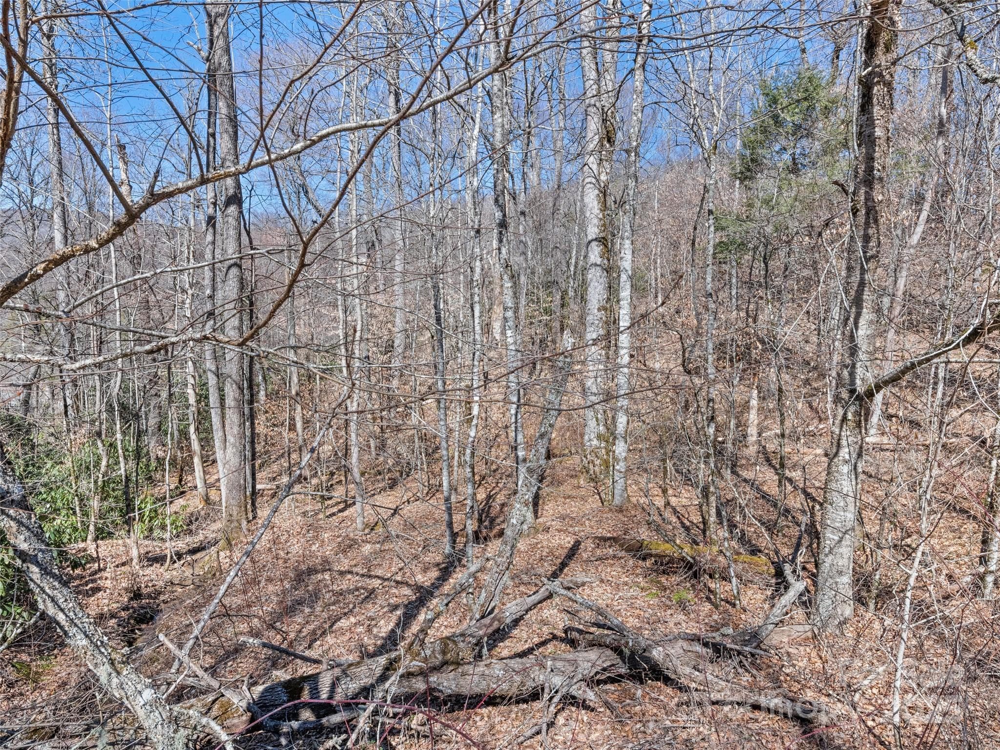 Lot at Maggie Valley, photo 9 of 11