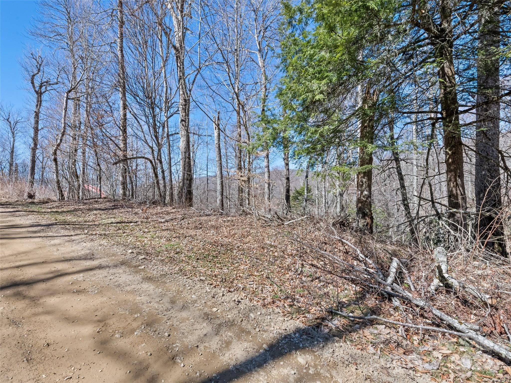 Lot at Maggie Valley, photo 10 of 11