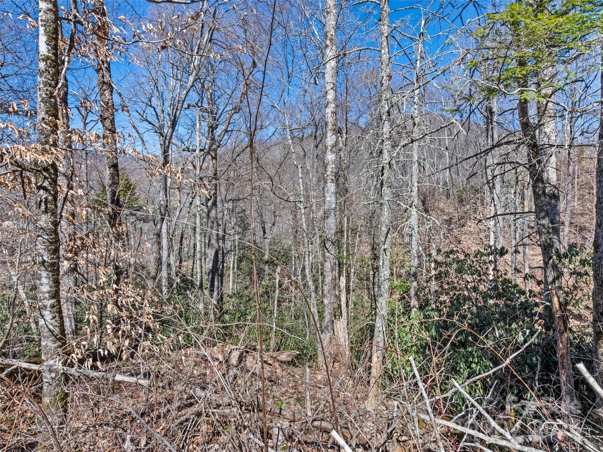 Lot at Maggie Valley, photo 11 of 11