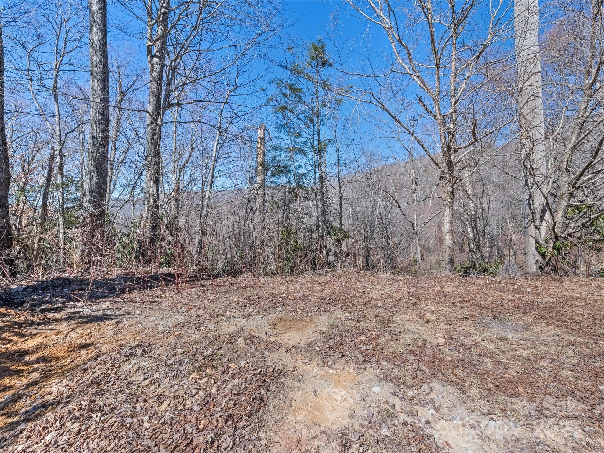 Lot at Maggie Valley, photo 9 of 12