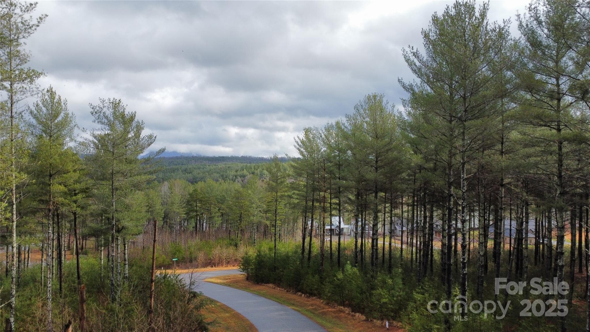 Lot at Nebo, photo 2 of 20