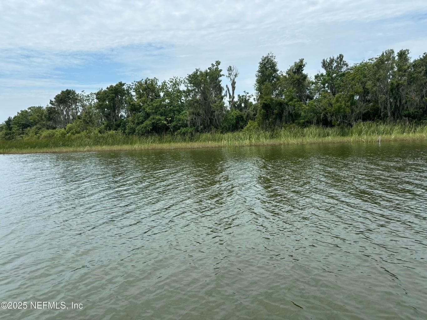Bird Island - 6001 BIRD ISLAND DR, LADY LAKE