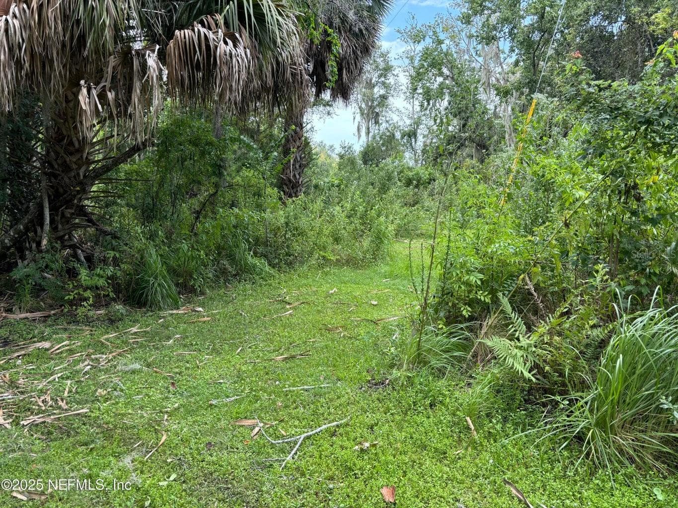 Property on Island - 6001 BIRD ISLAND DR, LADY LAKE