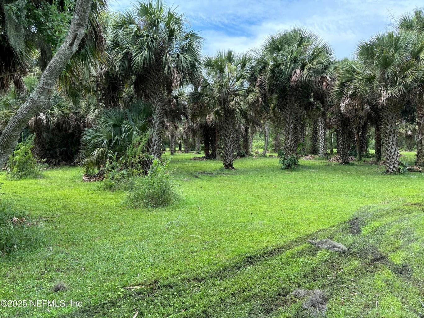 Property on Island - 6001 BIRD ISLAND DR, LADY LAKE