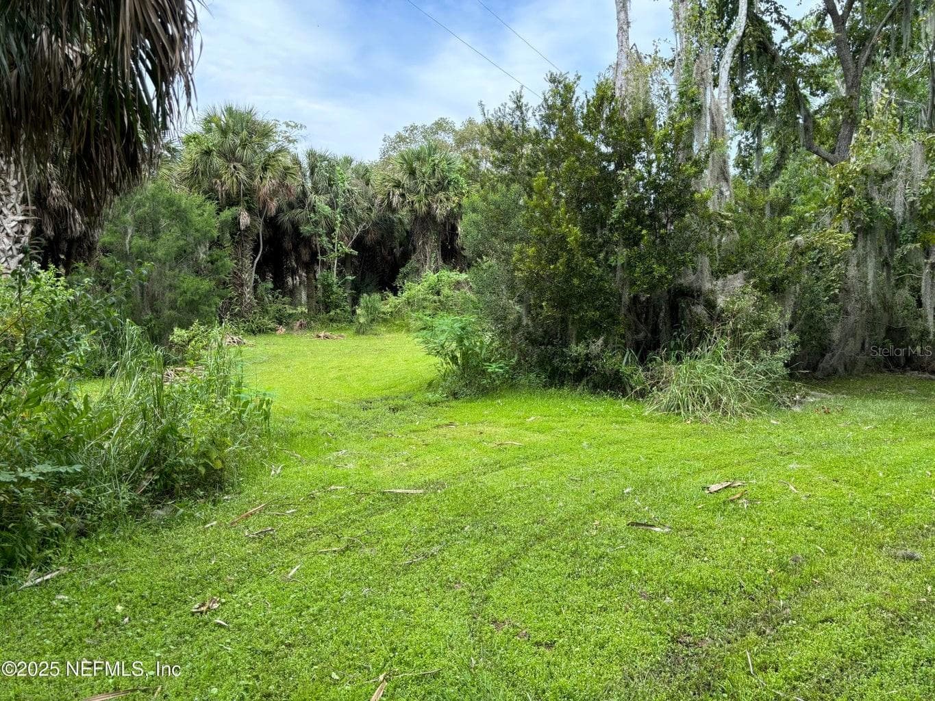 Property on Island - 6001 BIRD ISLAND DR, LADY LAKE