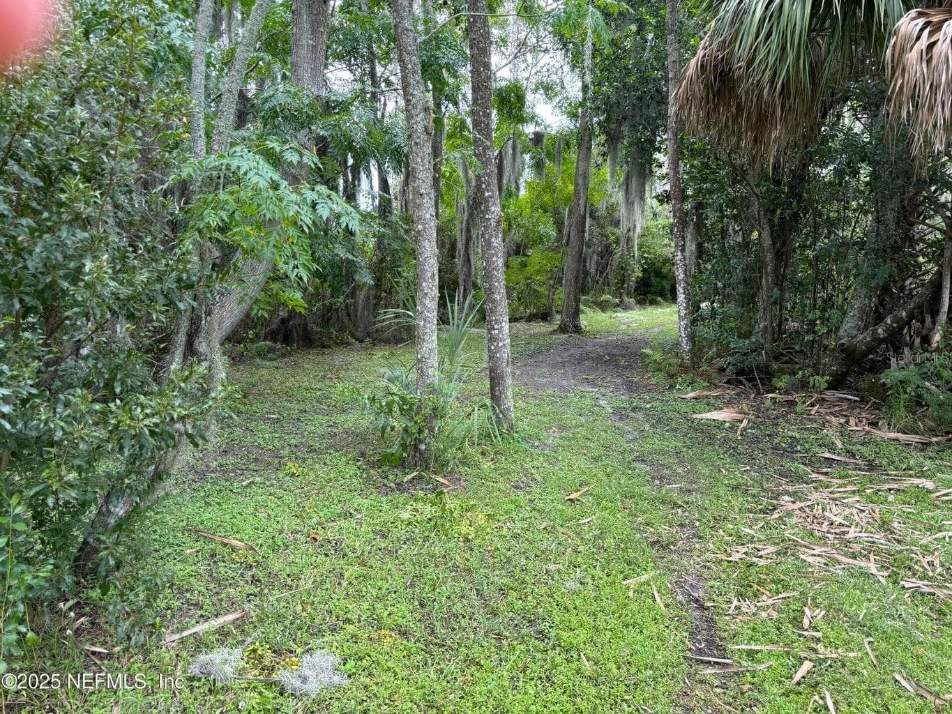 Property on Island - 6001 BIRD ISLAND DR, LADY LAKE