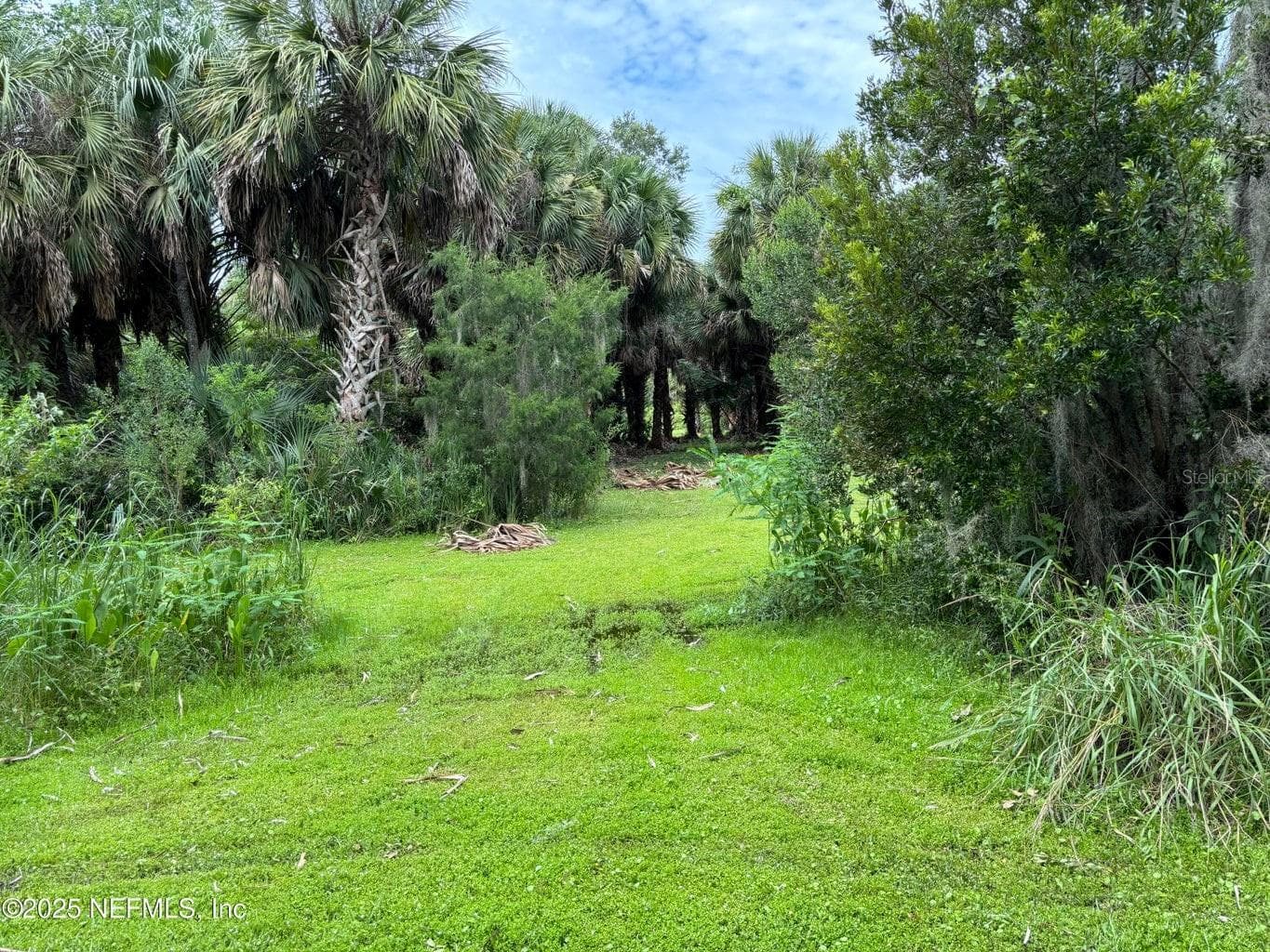 Property on Island - 6001 BIRD ISLAND DR, LADY LAKE