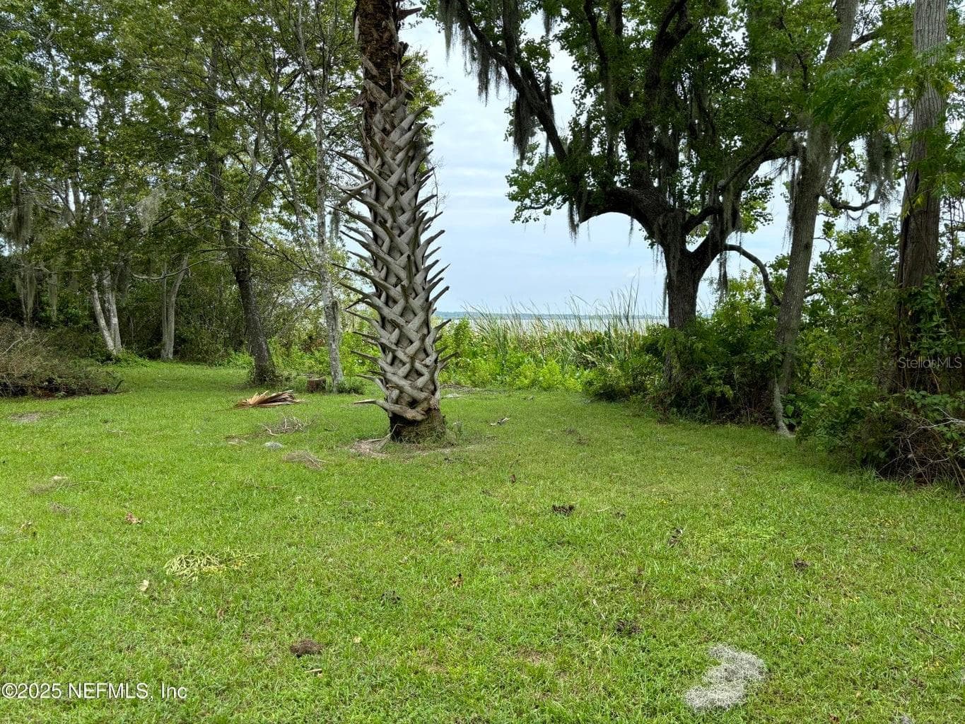 Property on Island - 6001 BIRD ISLAND DR, LADY LAKE