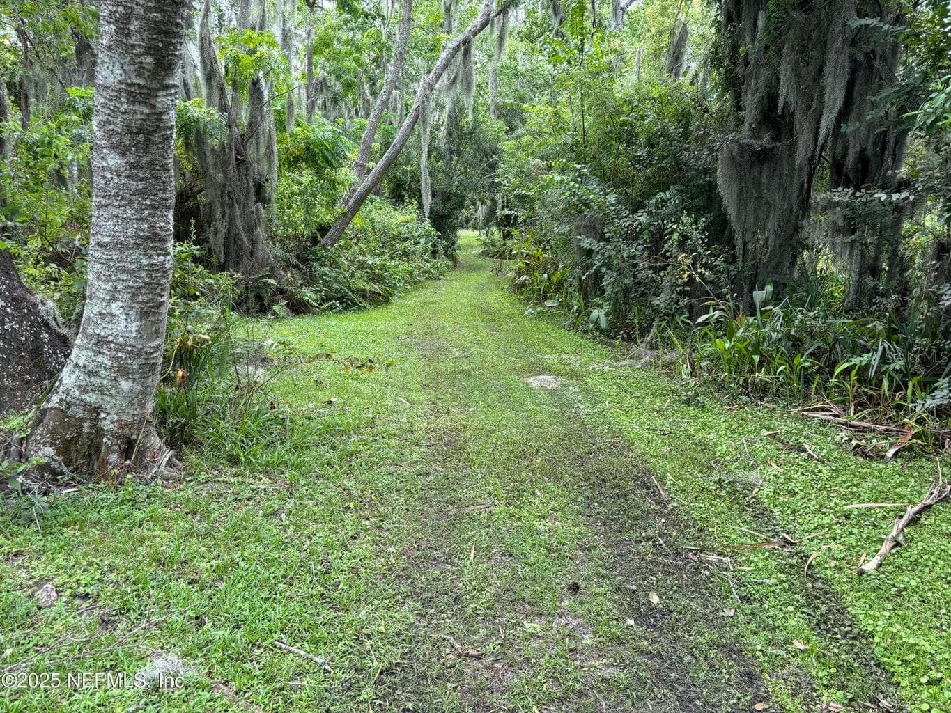 Property on Island - 6001 BIRD ISLAND DR, LADY LAKE
