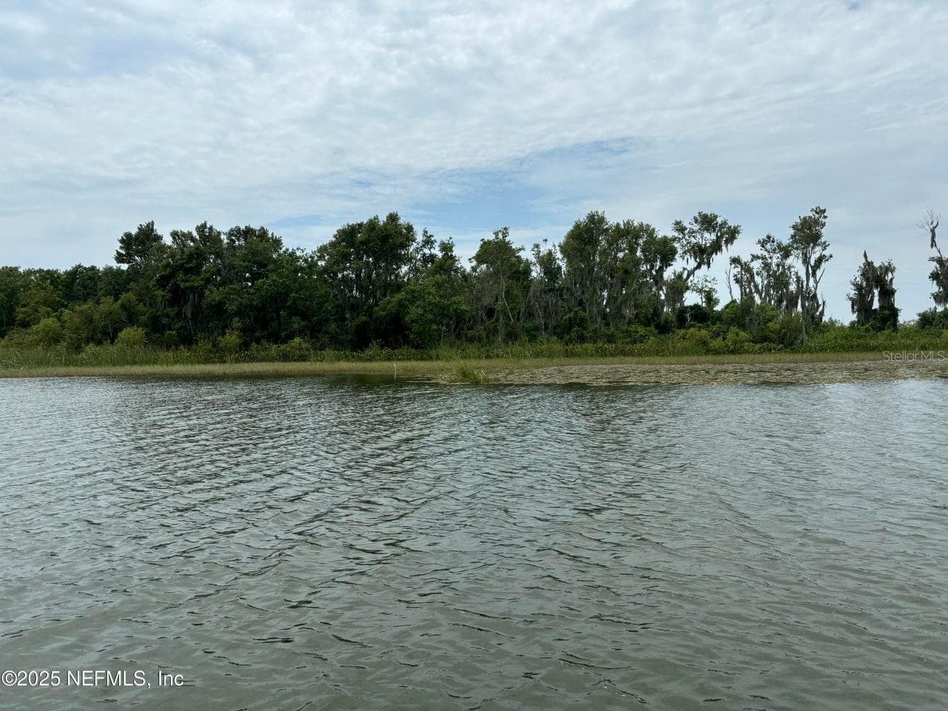 Bird Island - 6001 BIRD ISLAND DR, LADY LAKE