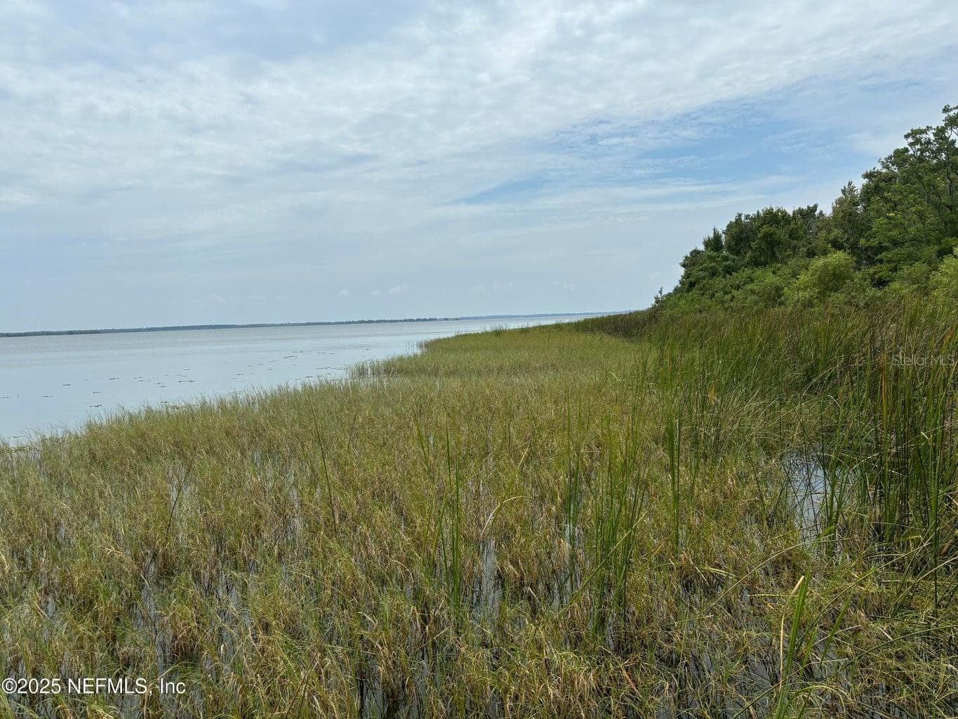 Island to Water - 6001 BIRD ISLAND DR, LADY LAKE