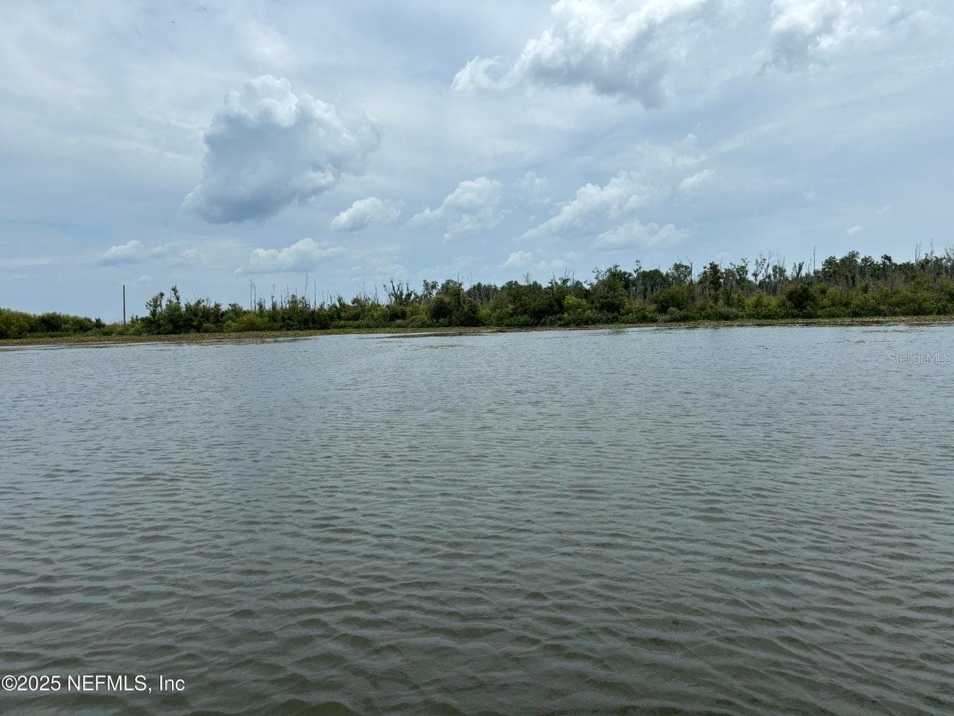 Single Family Residence at 6001 BIRD ISLAND DR, LADY LAKE, photo 52 of 53