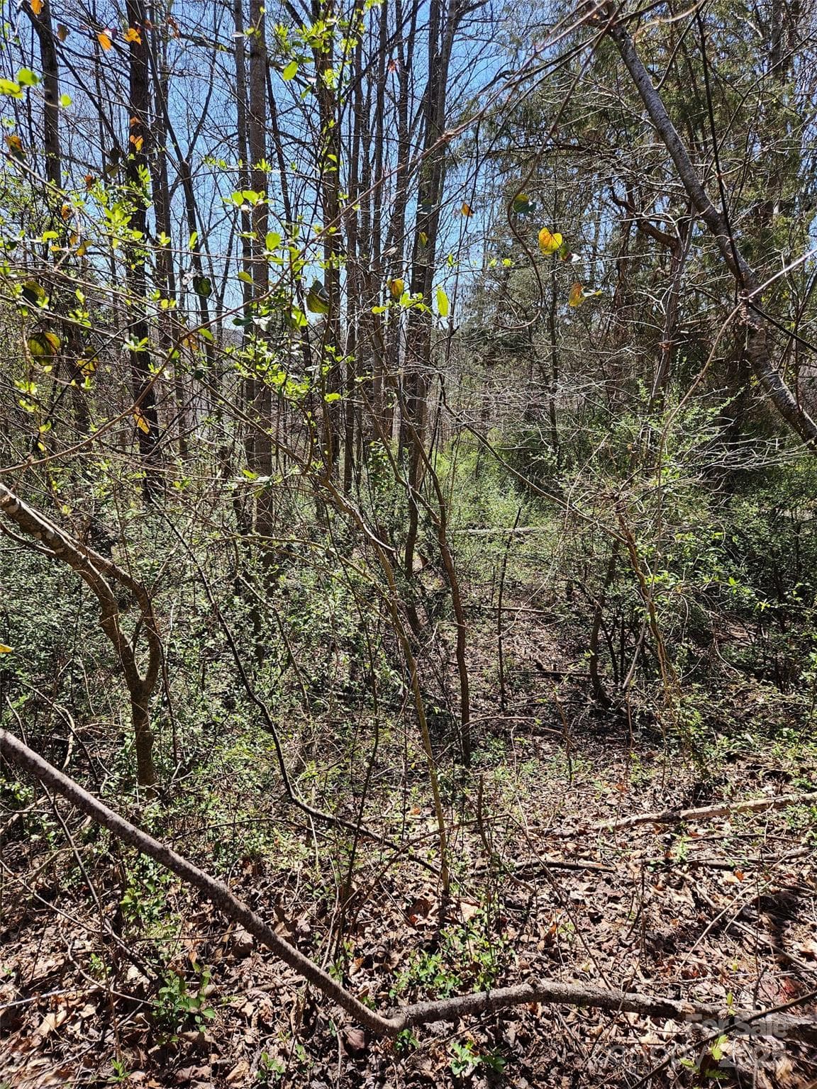 Lot at 0 Gray Court, Rutherfordton, photo 5 of 9