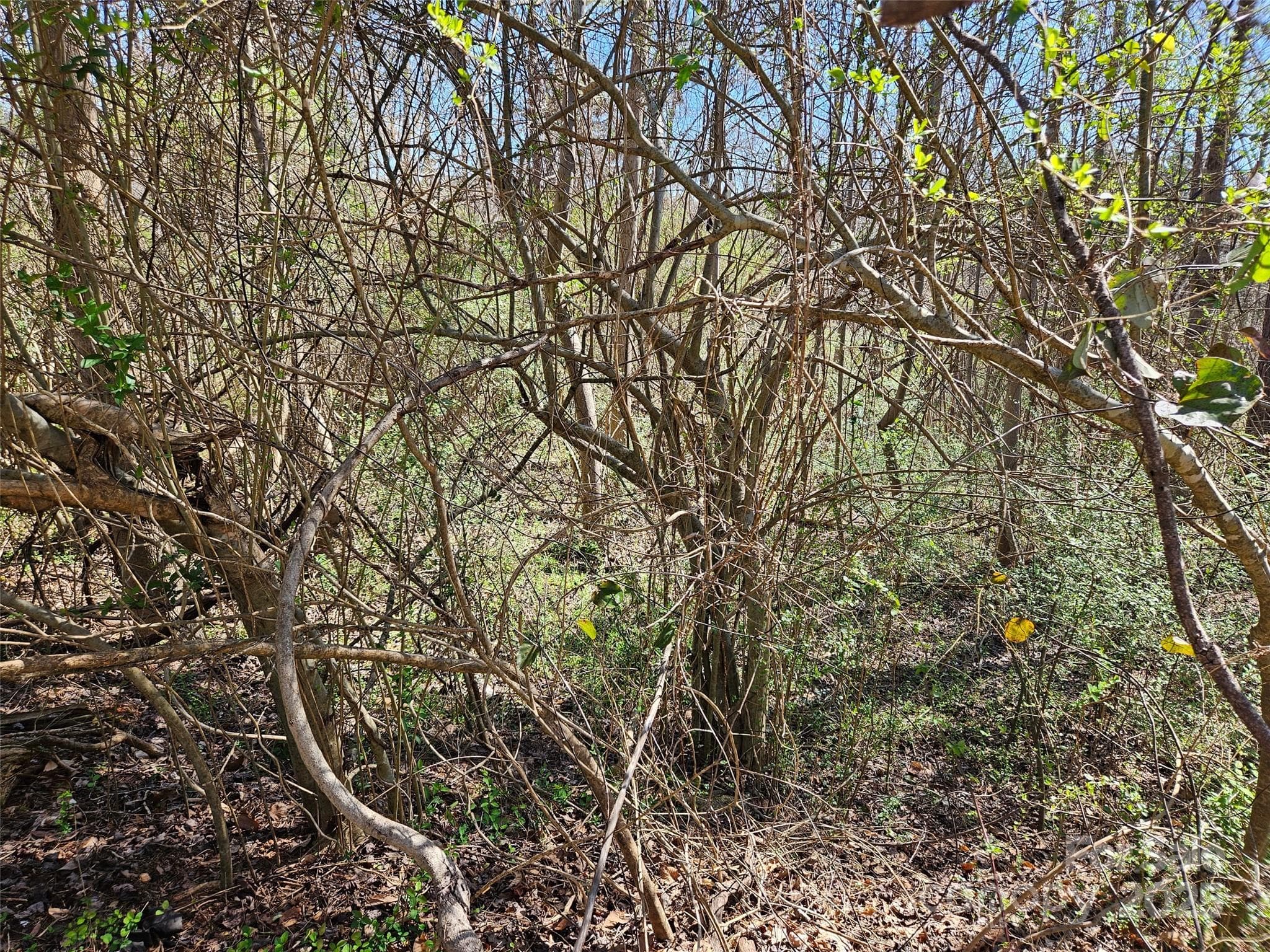 Lot at 0 Gray Court, Rutherfordton, photo 6 of 9