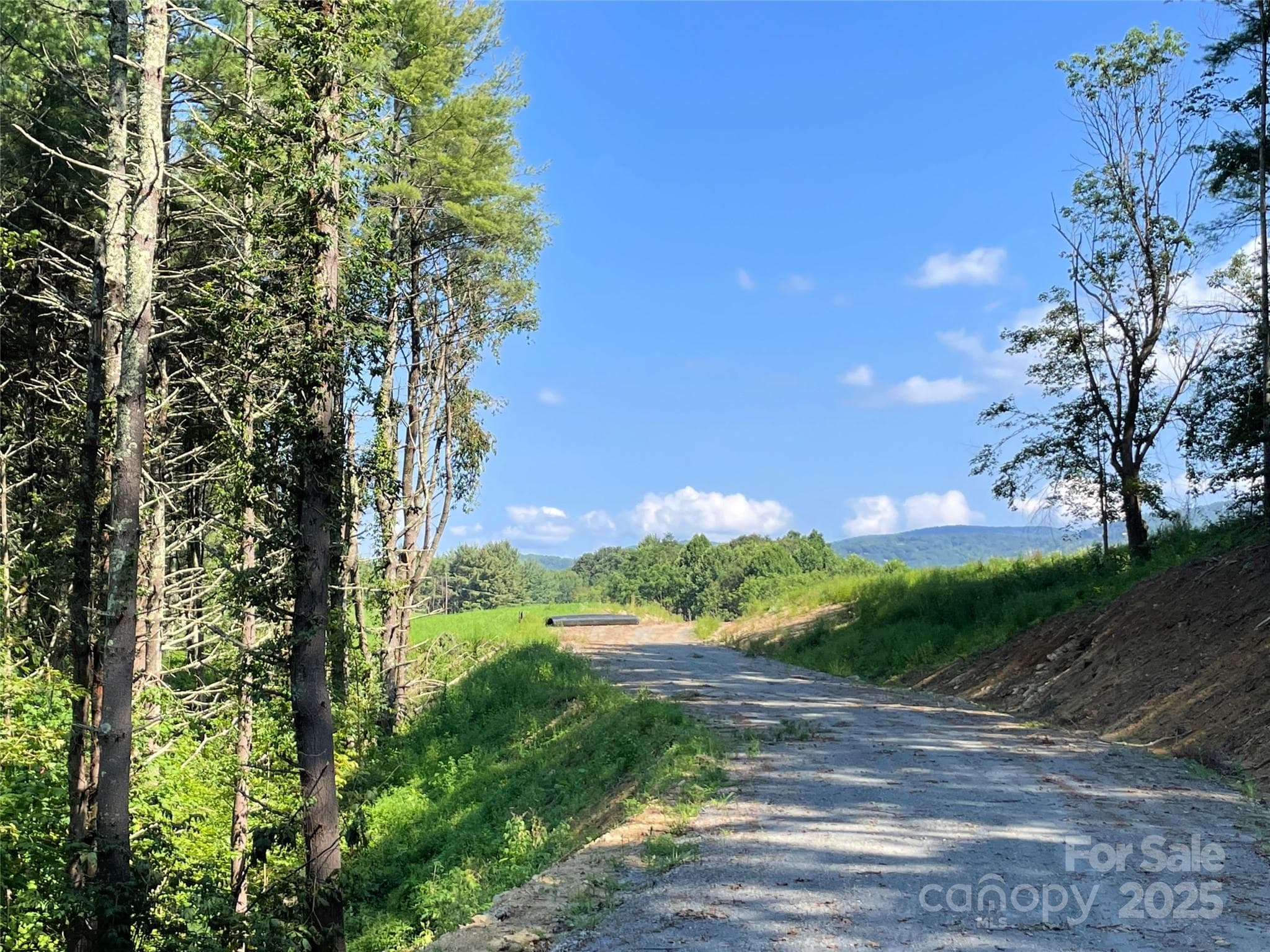 Lot at 9999 Clouds Rest Drive, Banner Elk, photo 19 of 26