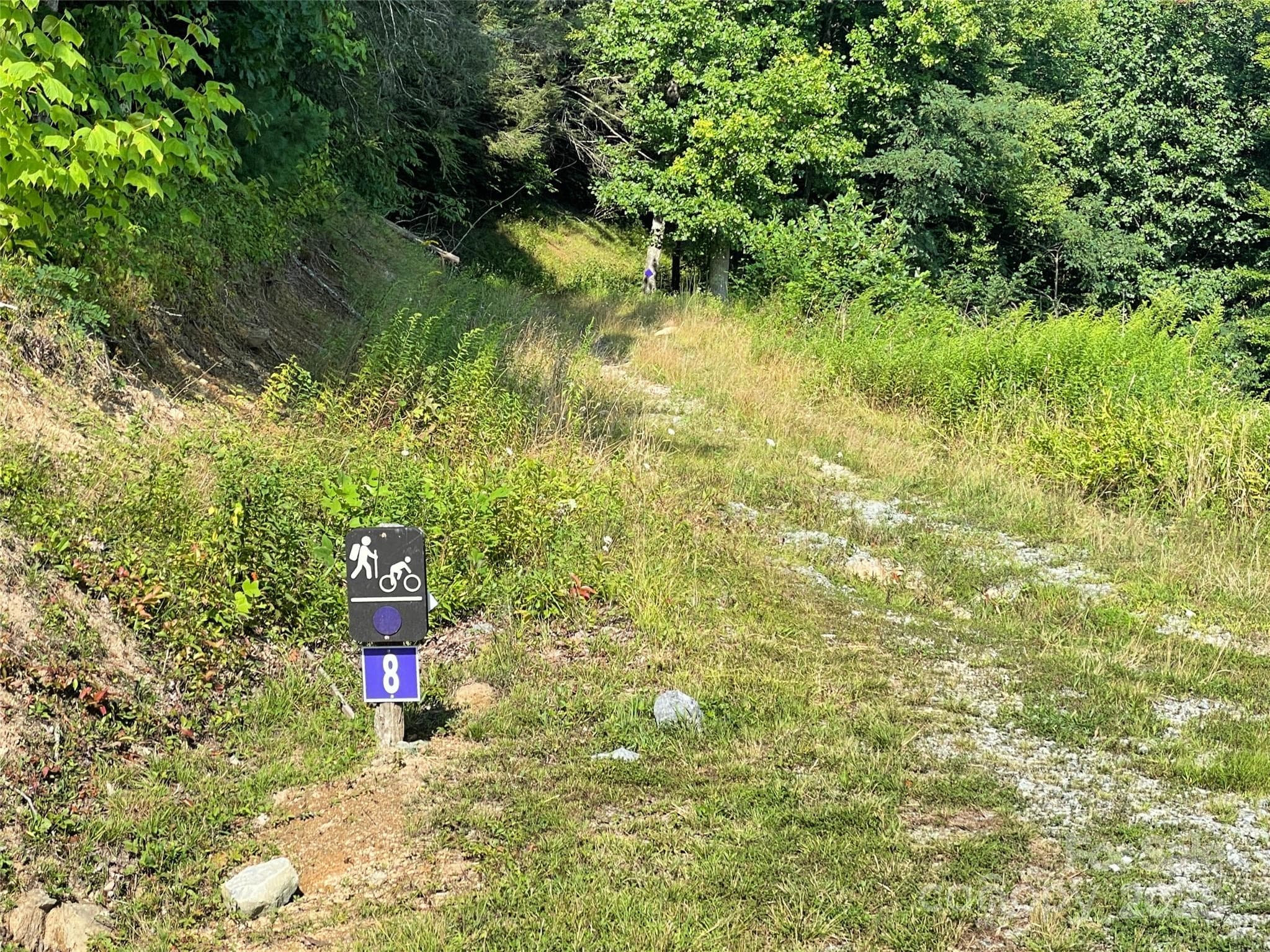 Lot at 9999 Clouds Rest Drive, Banner Elk, photo 22 of 26