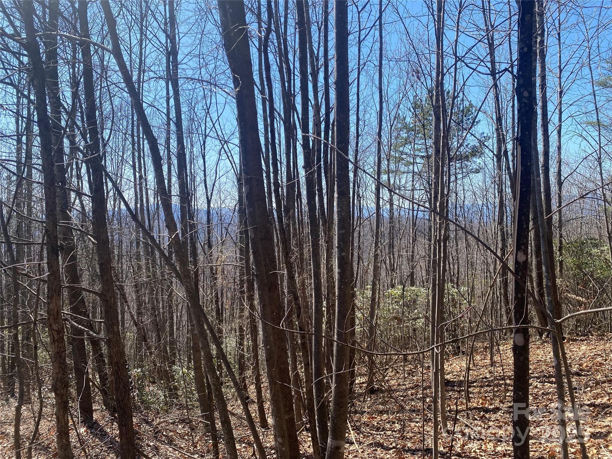 Lot at Lot 72 Mountain Crest Drive S, Marion, photo 2 of 10