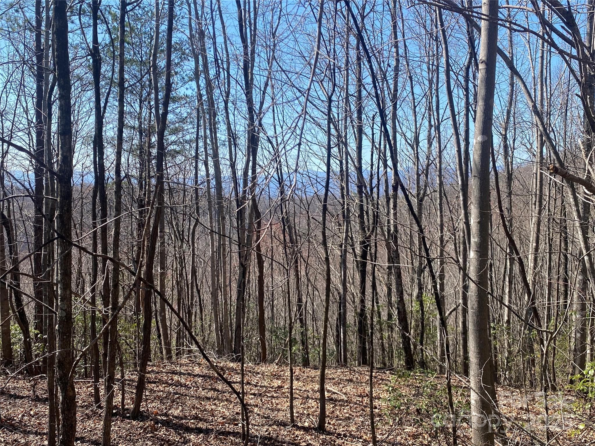 Lot at Lot 72 Mountain Crest Drive S, Marion, photo 3 of 10