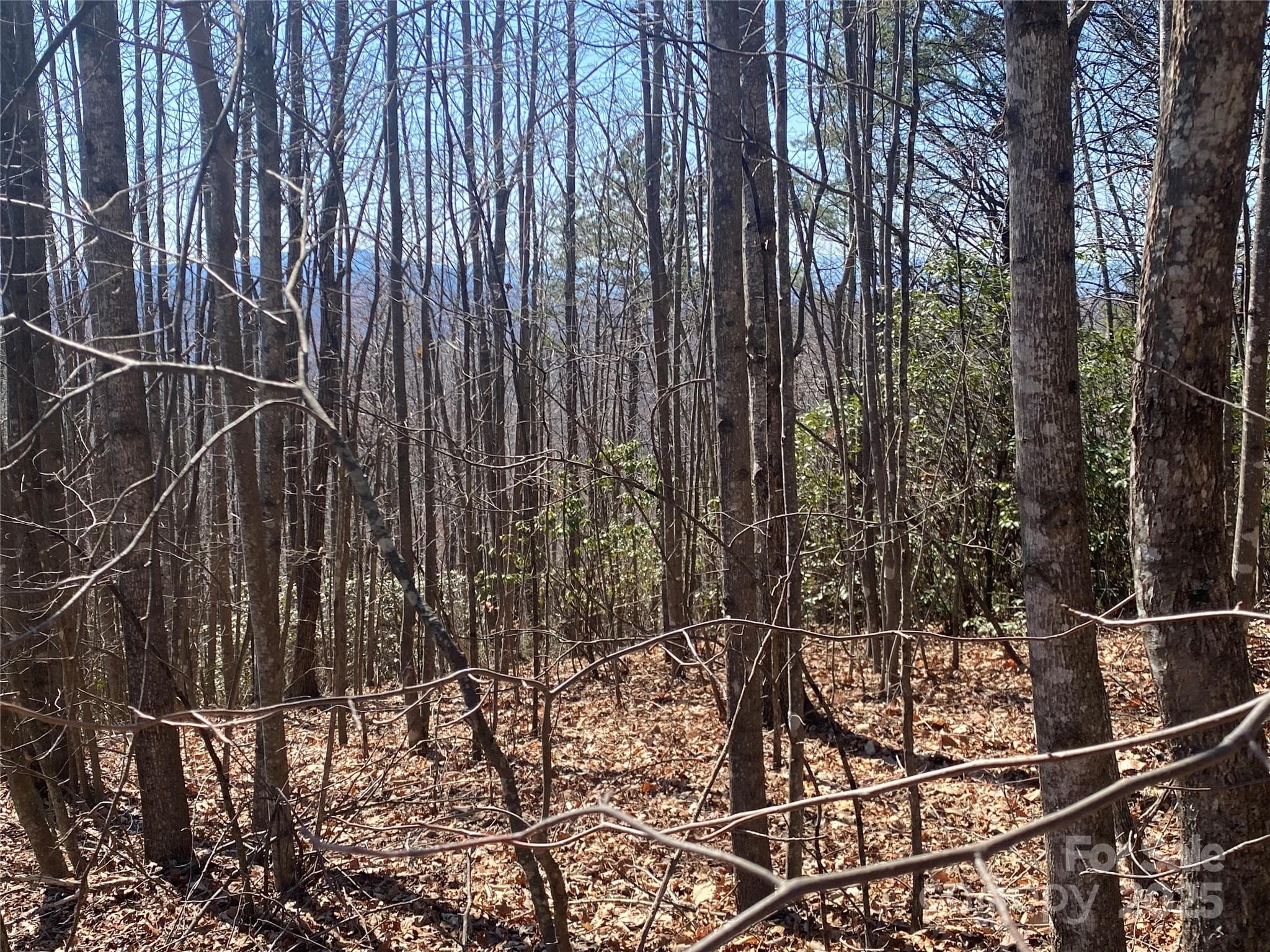 Lot at Lot 72 Mountain Crest Drive S, Marion, photo 4 of 10
