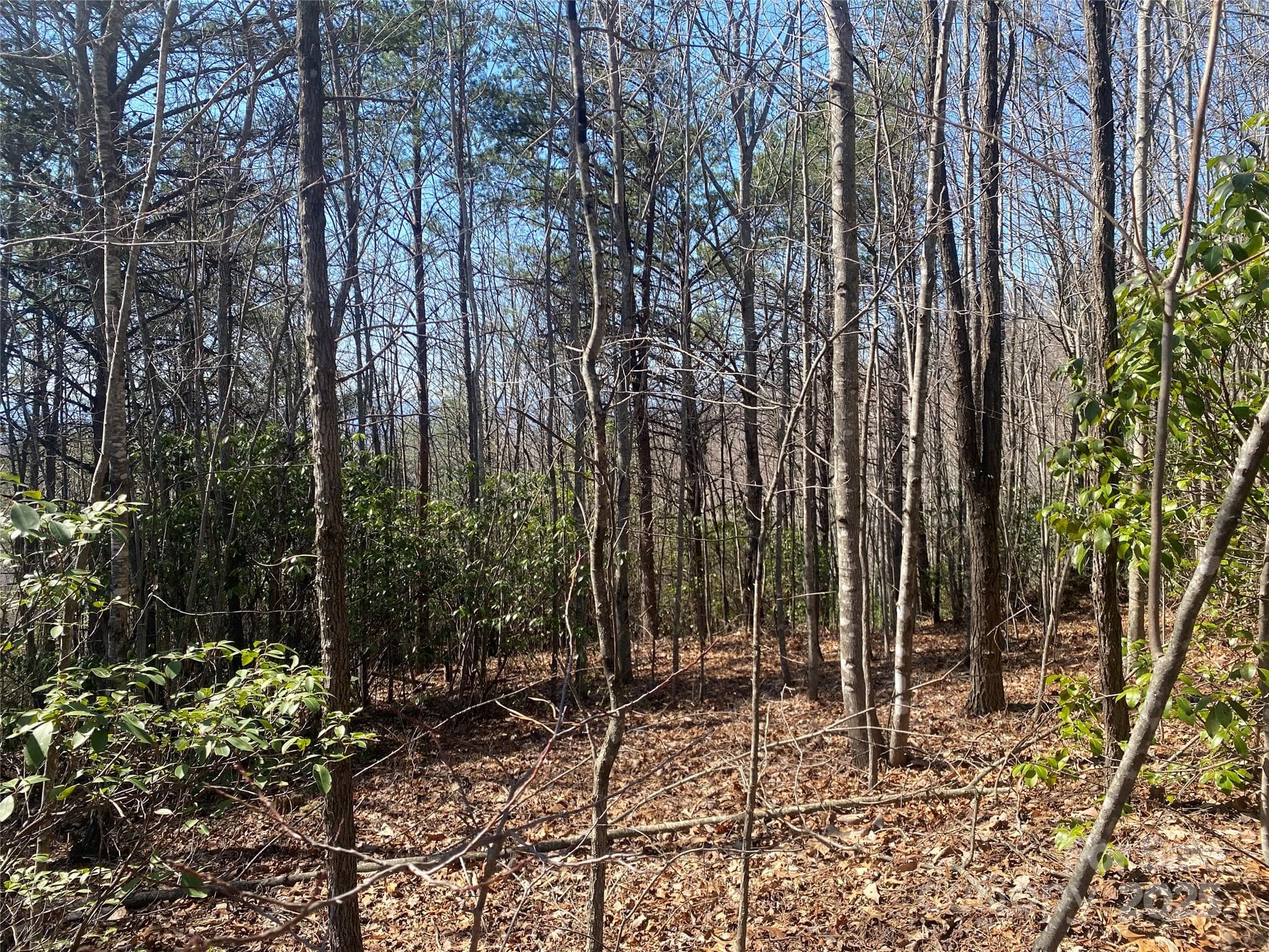Lot at Lot 72 Mountain Crest Drive S, Marion, photo 5 of 10