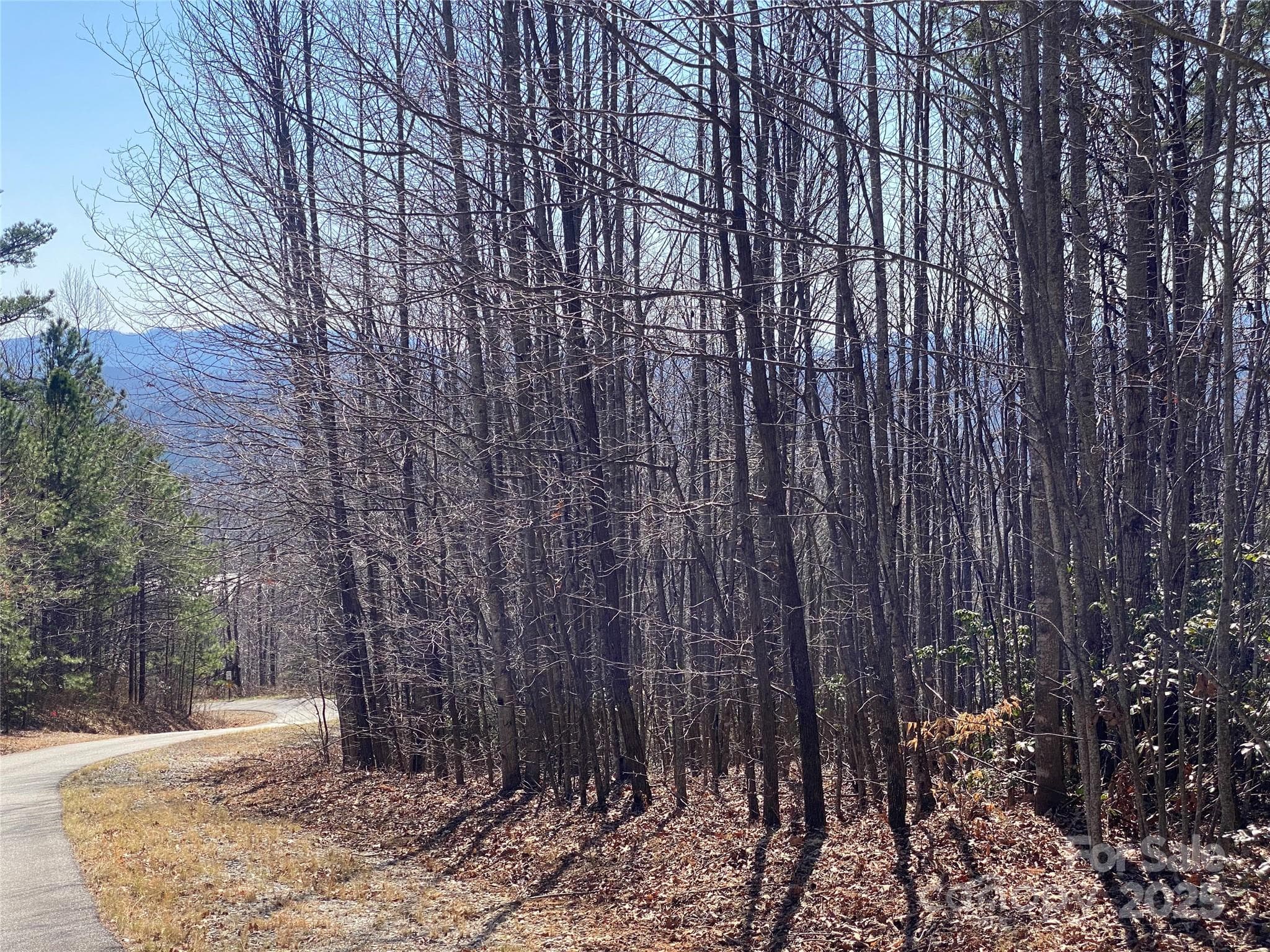 Lot on right.... - Lot 72 Mountain Crest Drive S, Marion