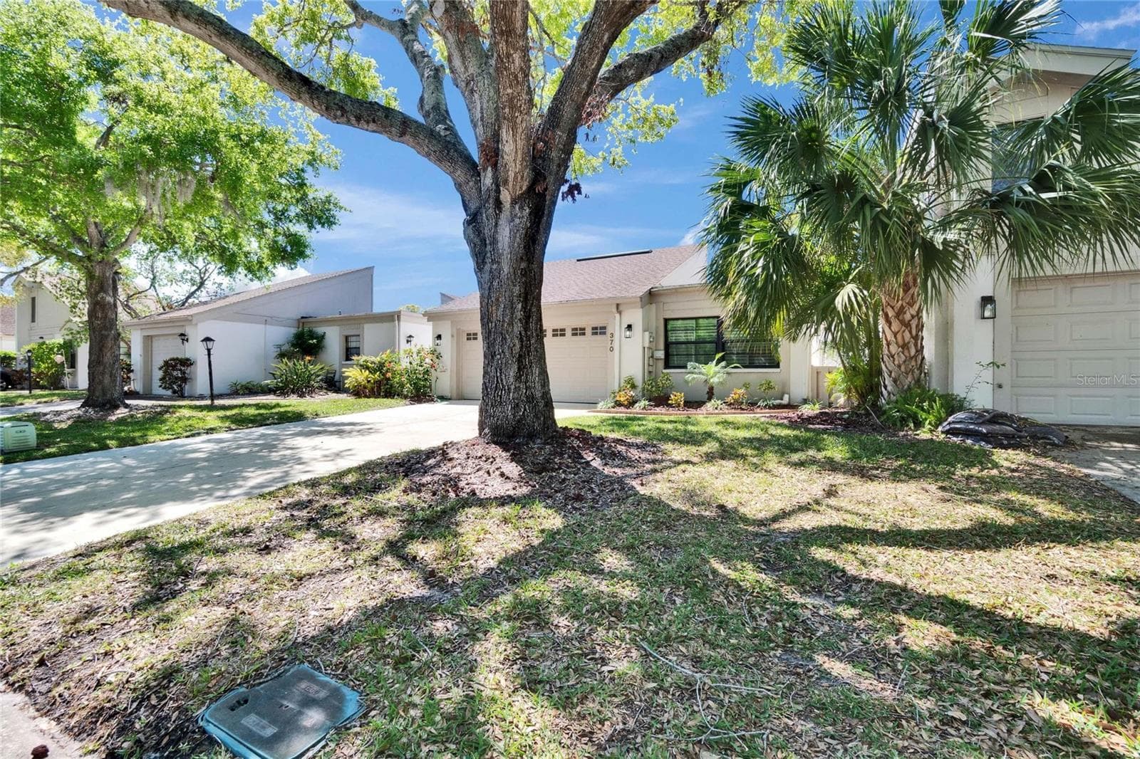 Front yard - 370 S WOODLANDS DR, OLDSMAR