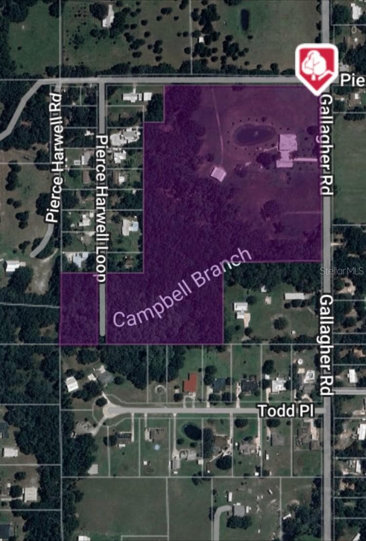 Single Family Residence at 3709 GALLAGHER RD, PLANT CITY, photo 60 of 60