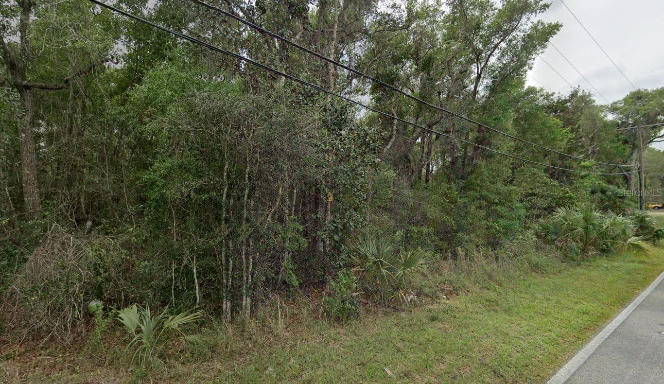 REYNOLDS RD