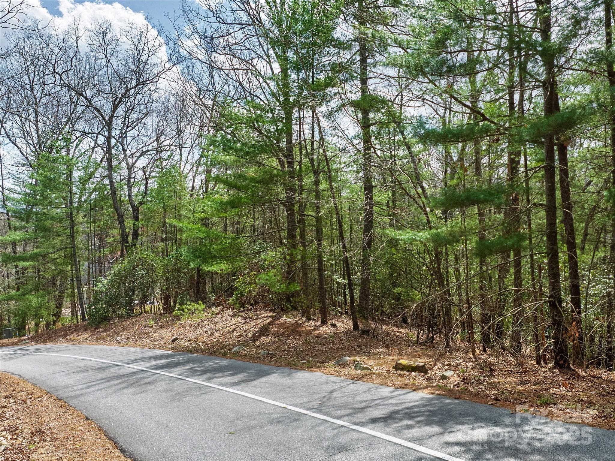 Lot at Lot 71 South Ridge Drive, Hendersonville, photo 3 of 10