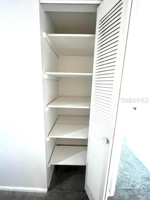 Hallway linen closet - 2538 CITRUS CLUB LN #105, ORLANDO