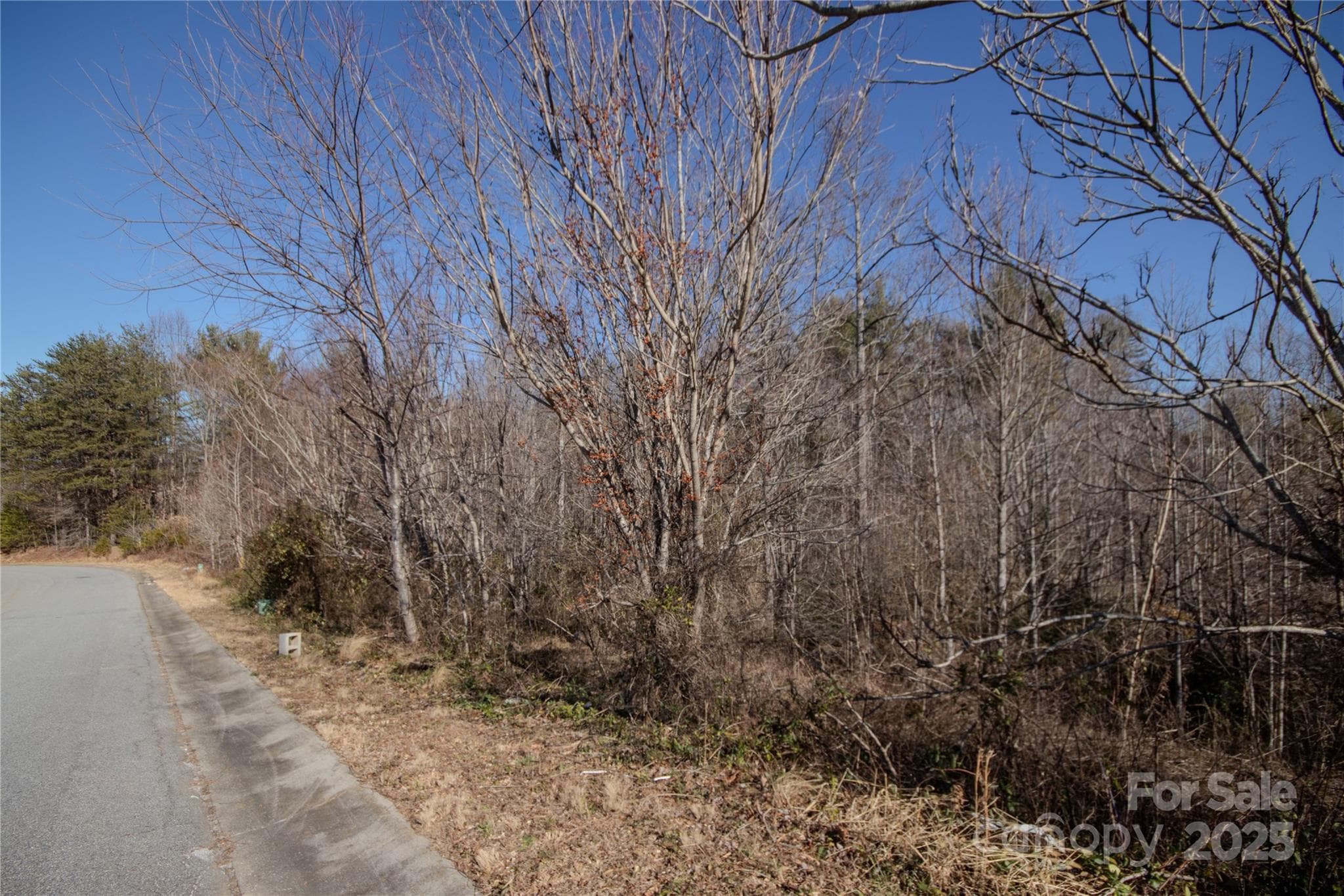 Lot at Lenoir, photo 3 of 4