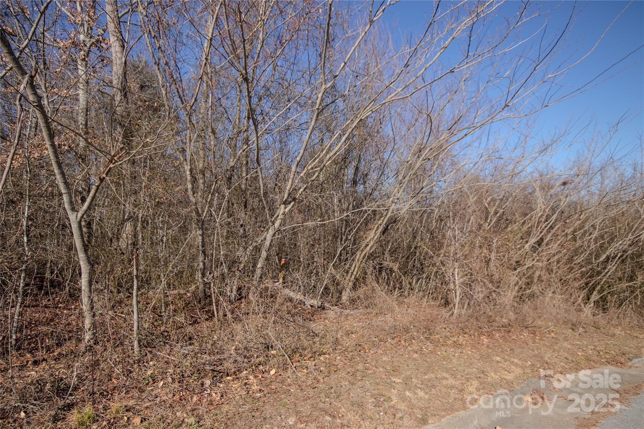 Lot at Lenoir, photo 3 of 4