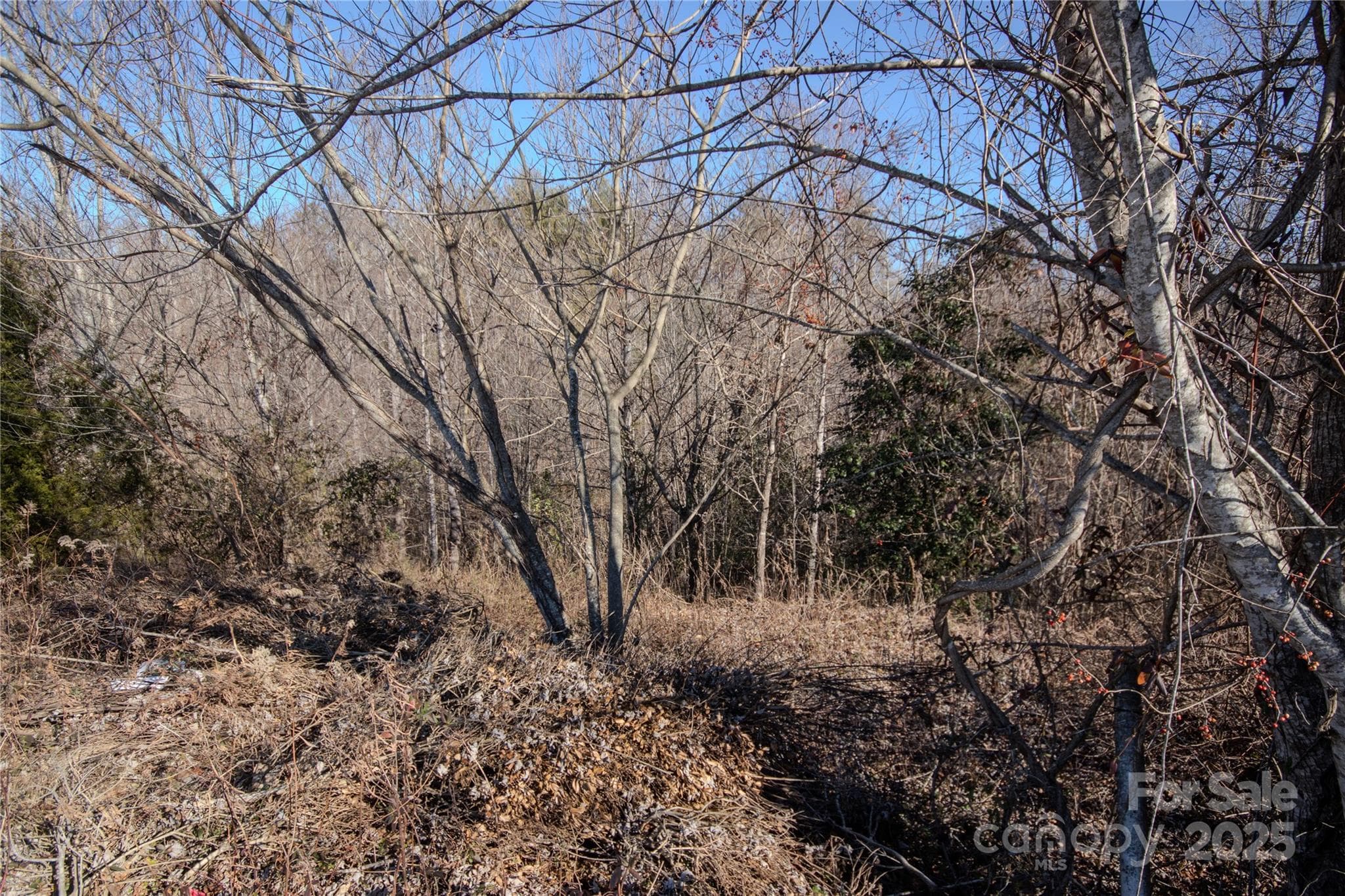 Lot at 702 Chatsworth Circle SE, Lenoir, photo 4 of 5
