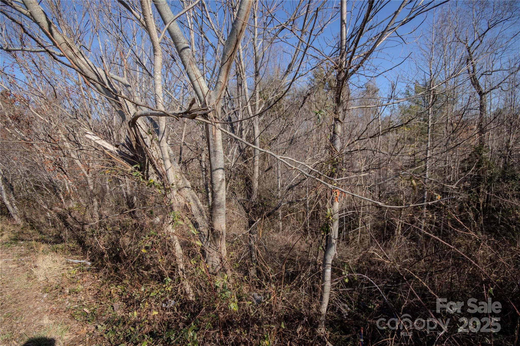 Lot at Lenoir, photo 3 of 4