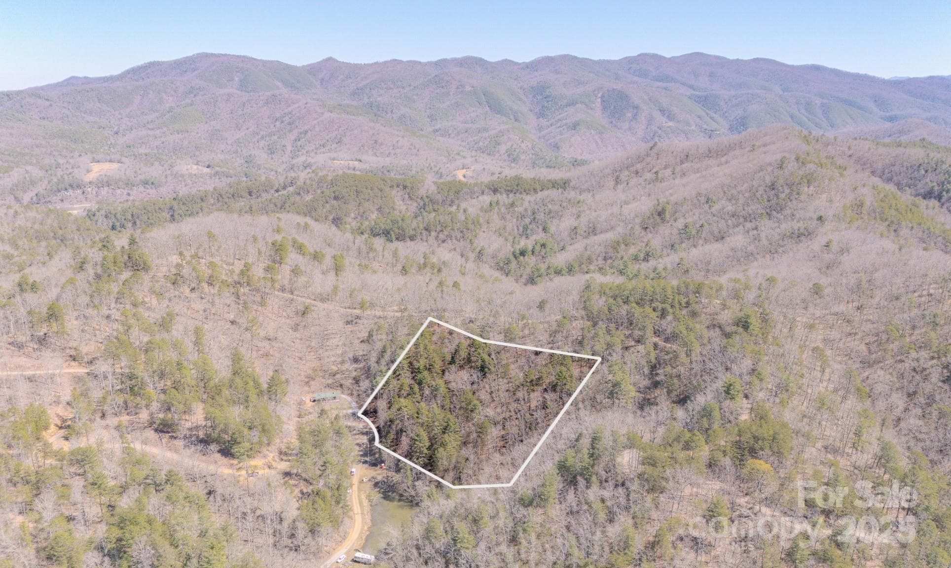 Acreage at TBD Plum Tree Holler Drive, Hot Springs, photo 2 of 11