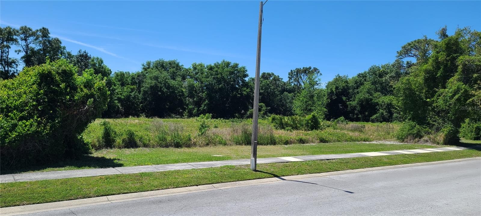 Land at 0 WOOD DOVE AVE, TARPON SPRINGS, photo 5 of 5