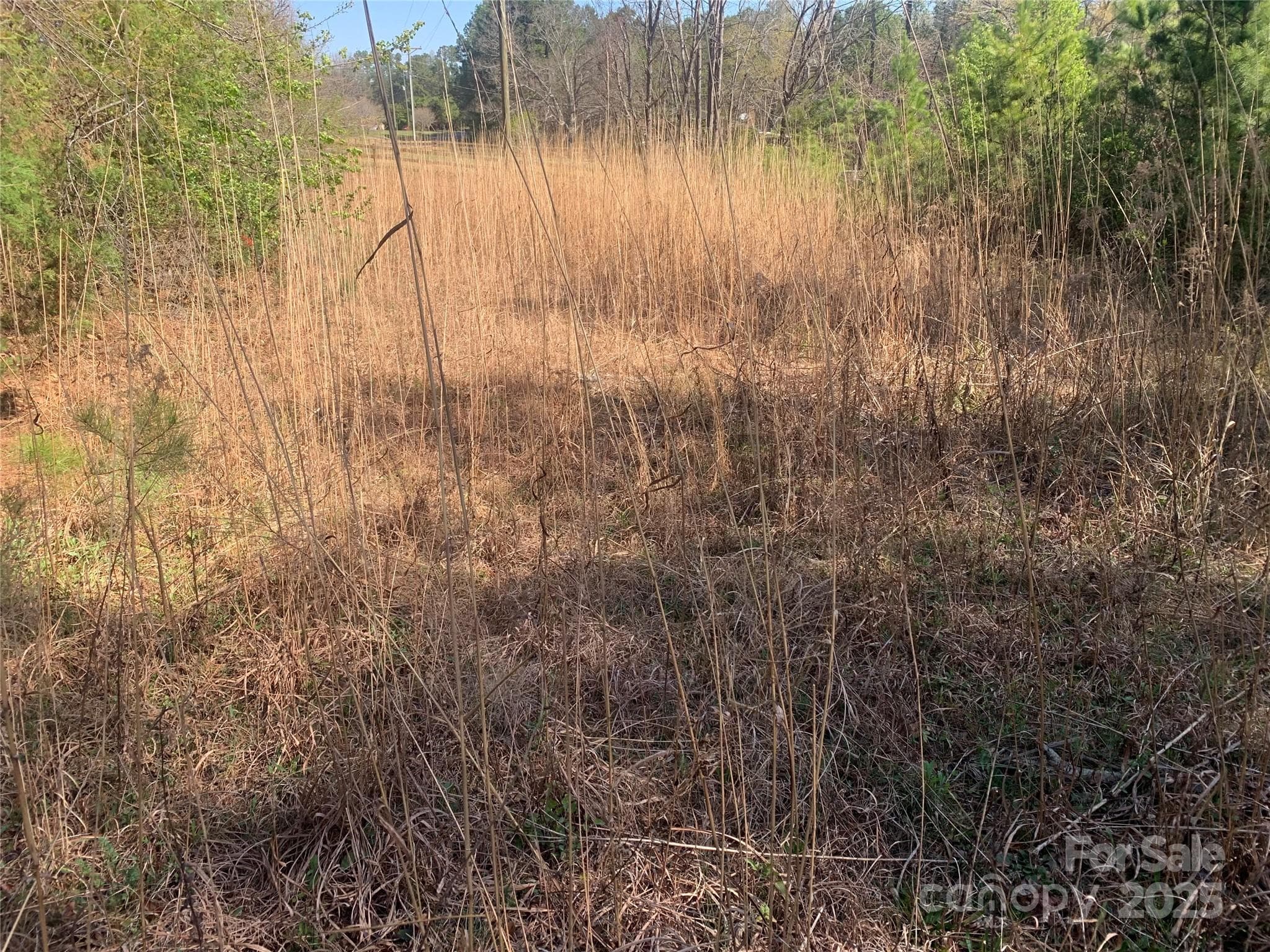 Acreage at 0001 Mayberry Road, Dallas, photo 5 of 6