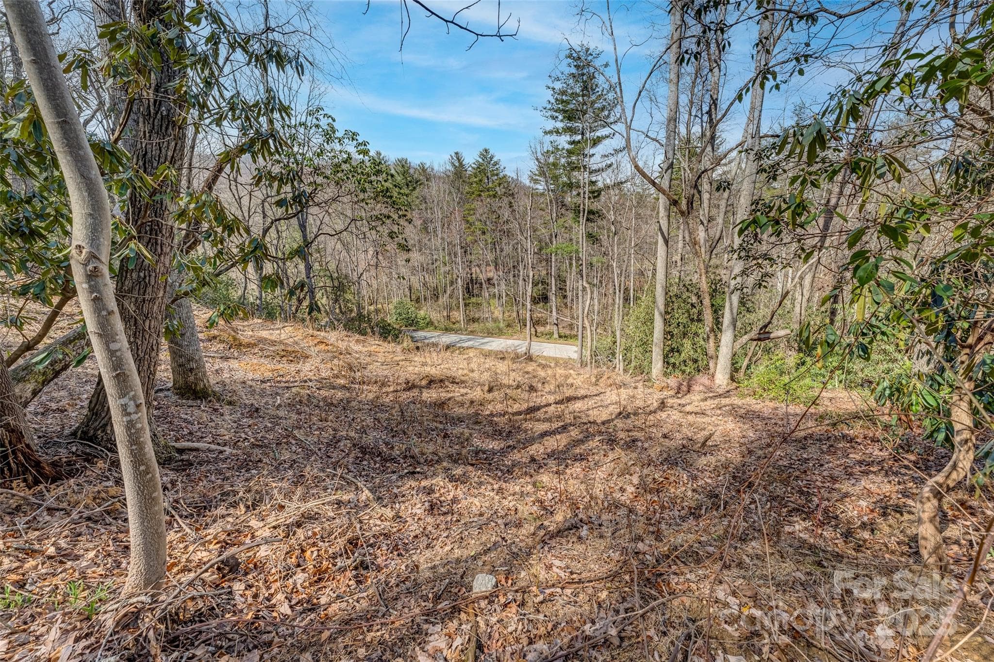 Lot at Arden, photo 4 of 10