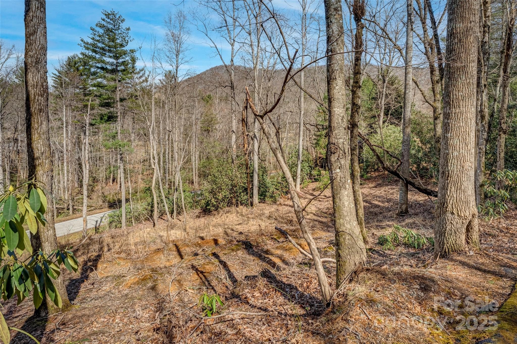 Lot at Arden, photo 5 of 10