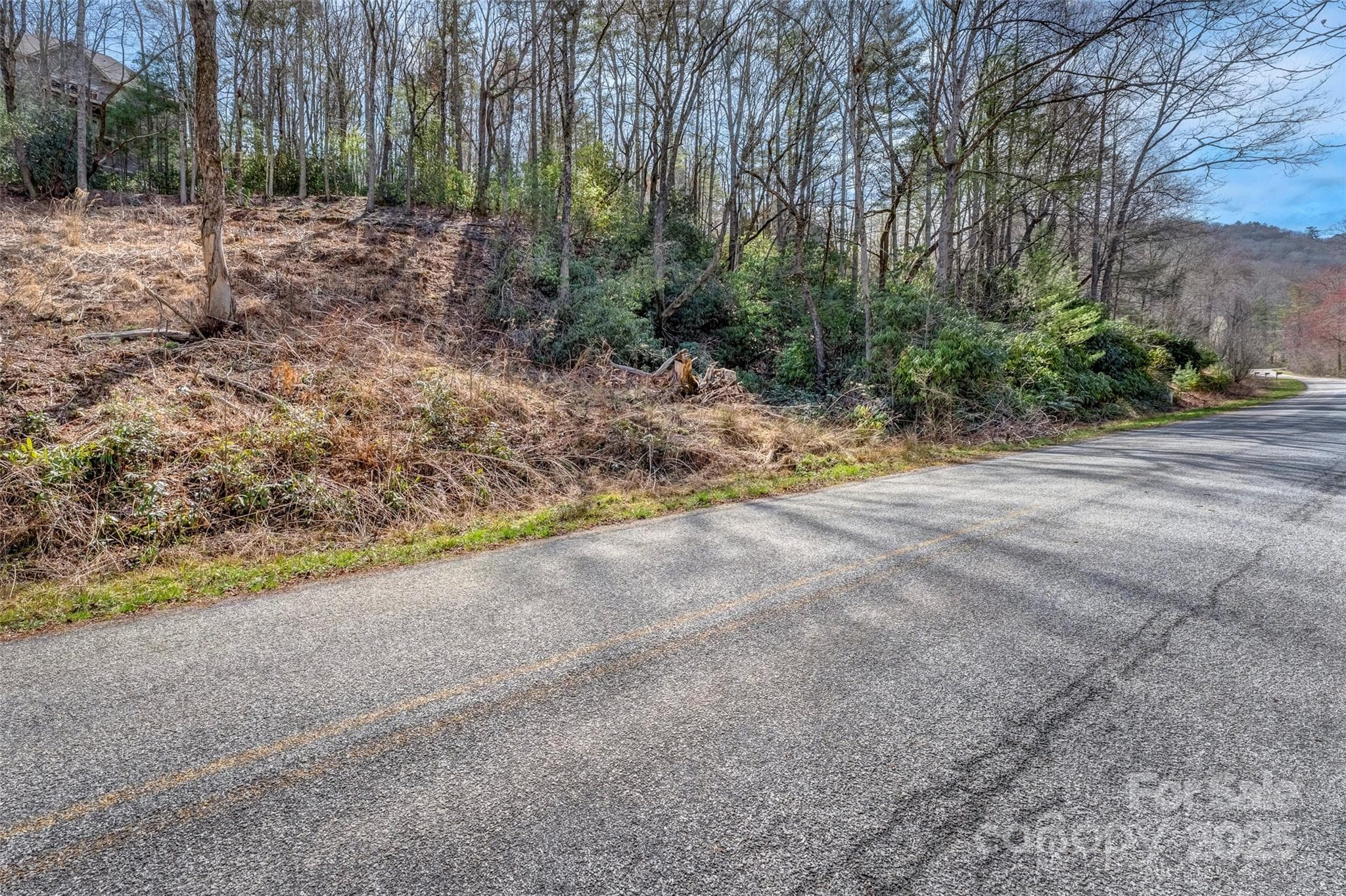 Lot at 99999 Christa Lane, Arden, photo 8 of 10