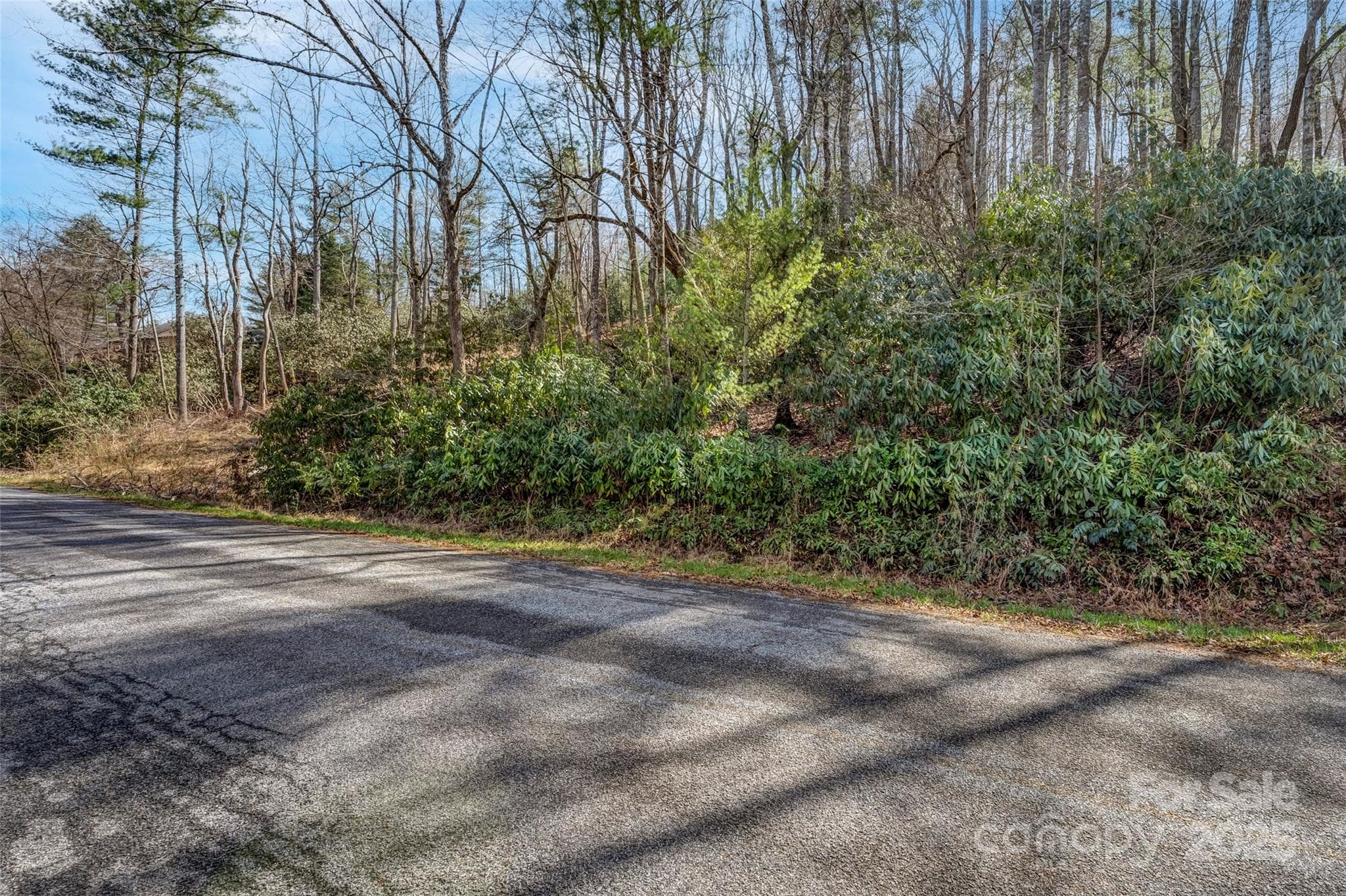 Lot at 99999 Christa Lane, Arden, photo 9 of 10