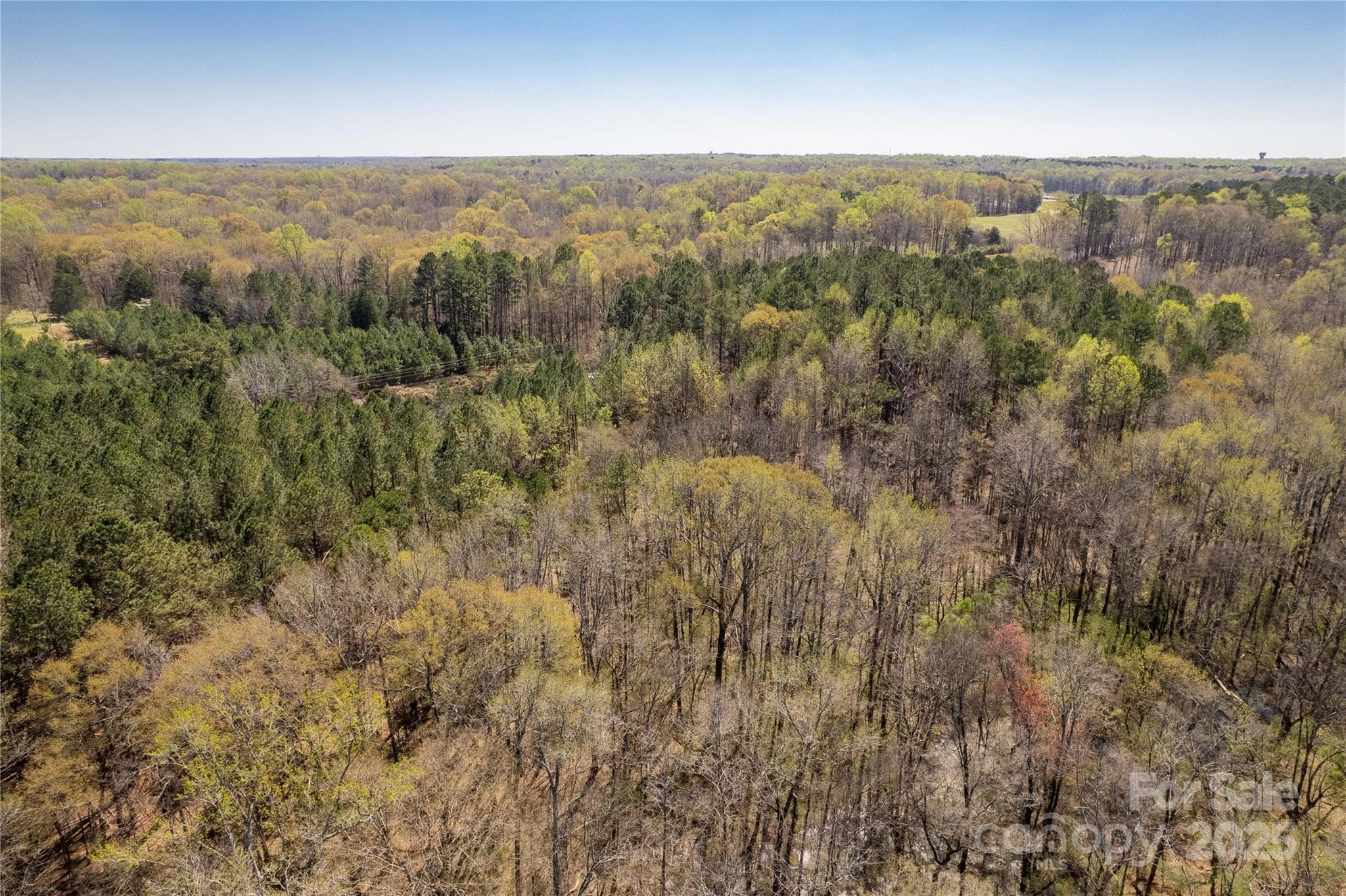 Acreage at Fort Mill, photo 5 of 12