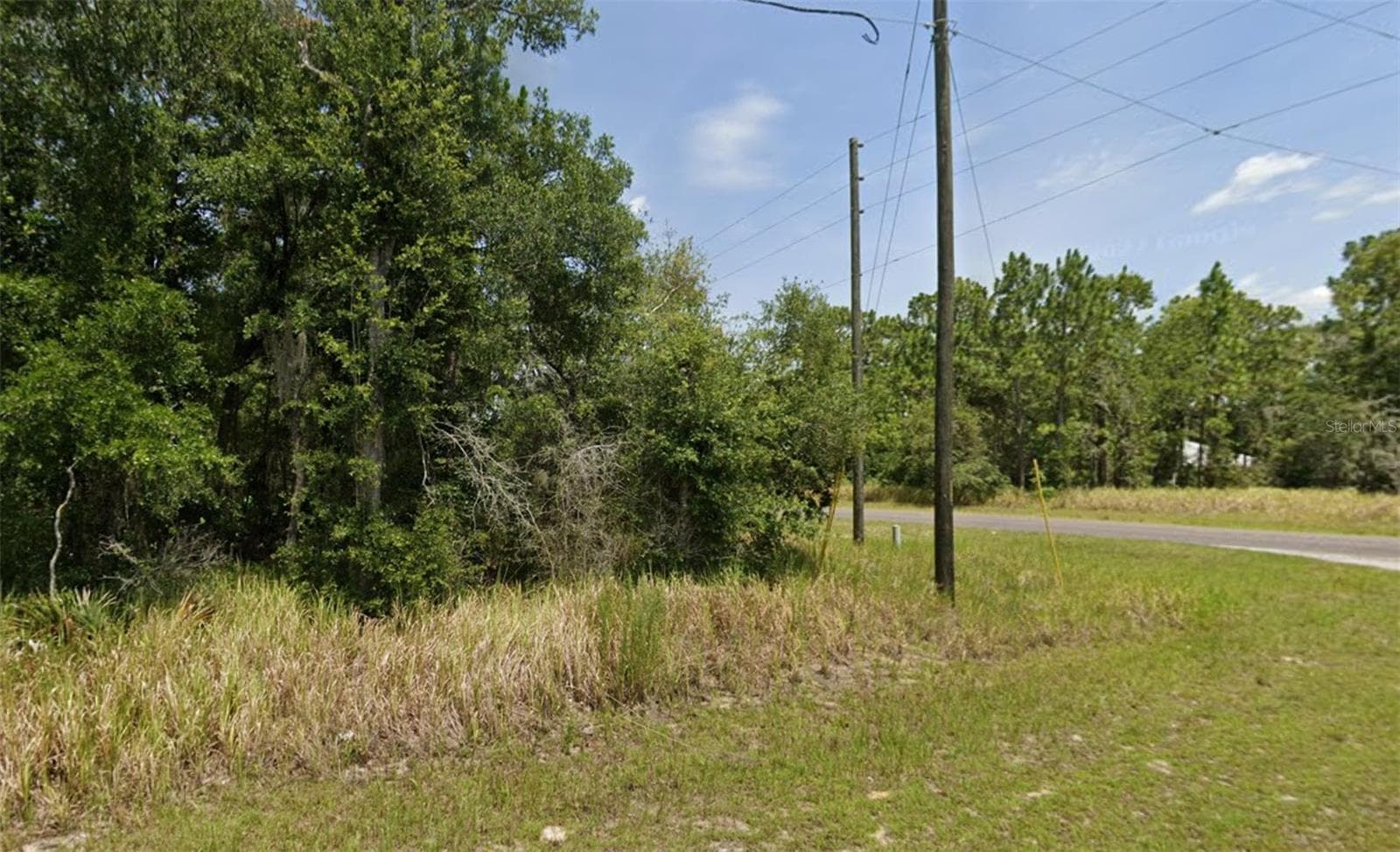 lot 19 LOCUST PASS LN