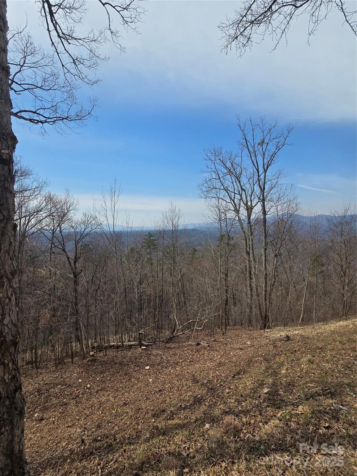 Acreage at 00 Golden Ridge Drive, Lake Lure, photo 3 of 26
