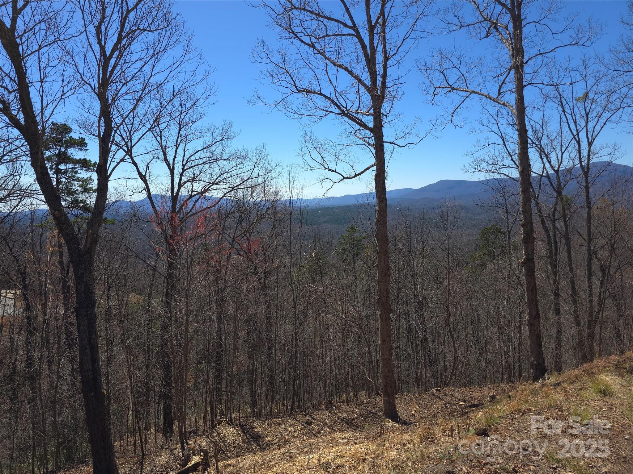 Acreage at 00 Golden Ridge Drive, Lake Lure, photo 4 of 26