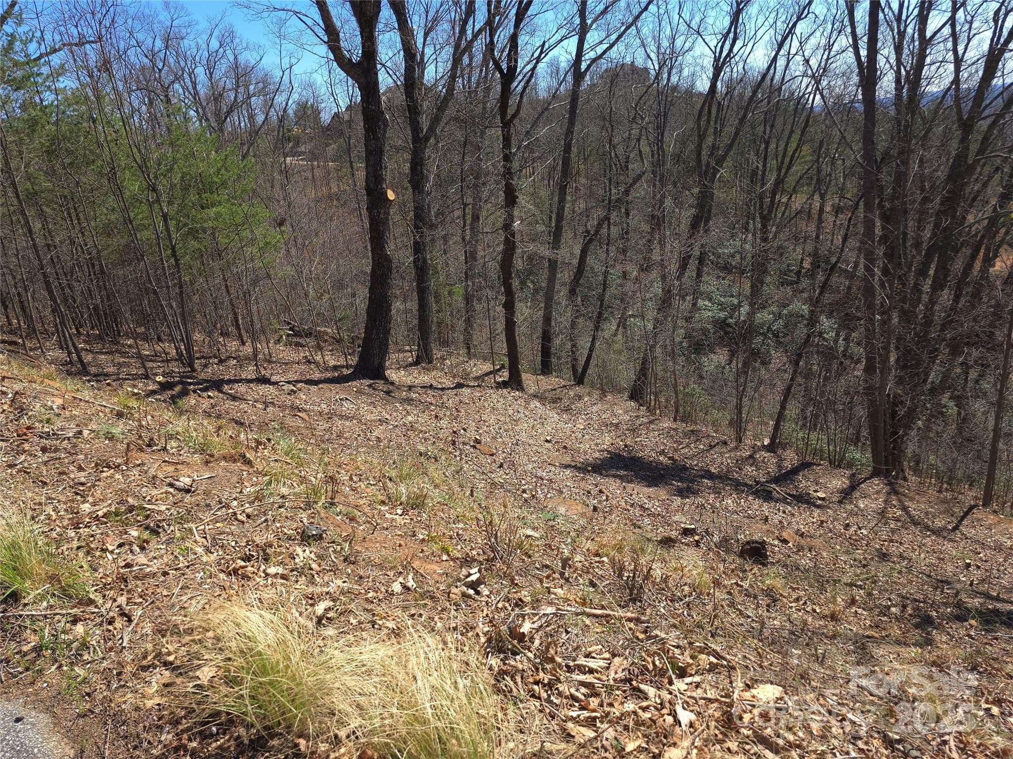 Acreage at 00 Golden Ridge Drive, Lake Lure, photo 7 of 26