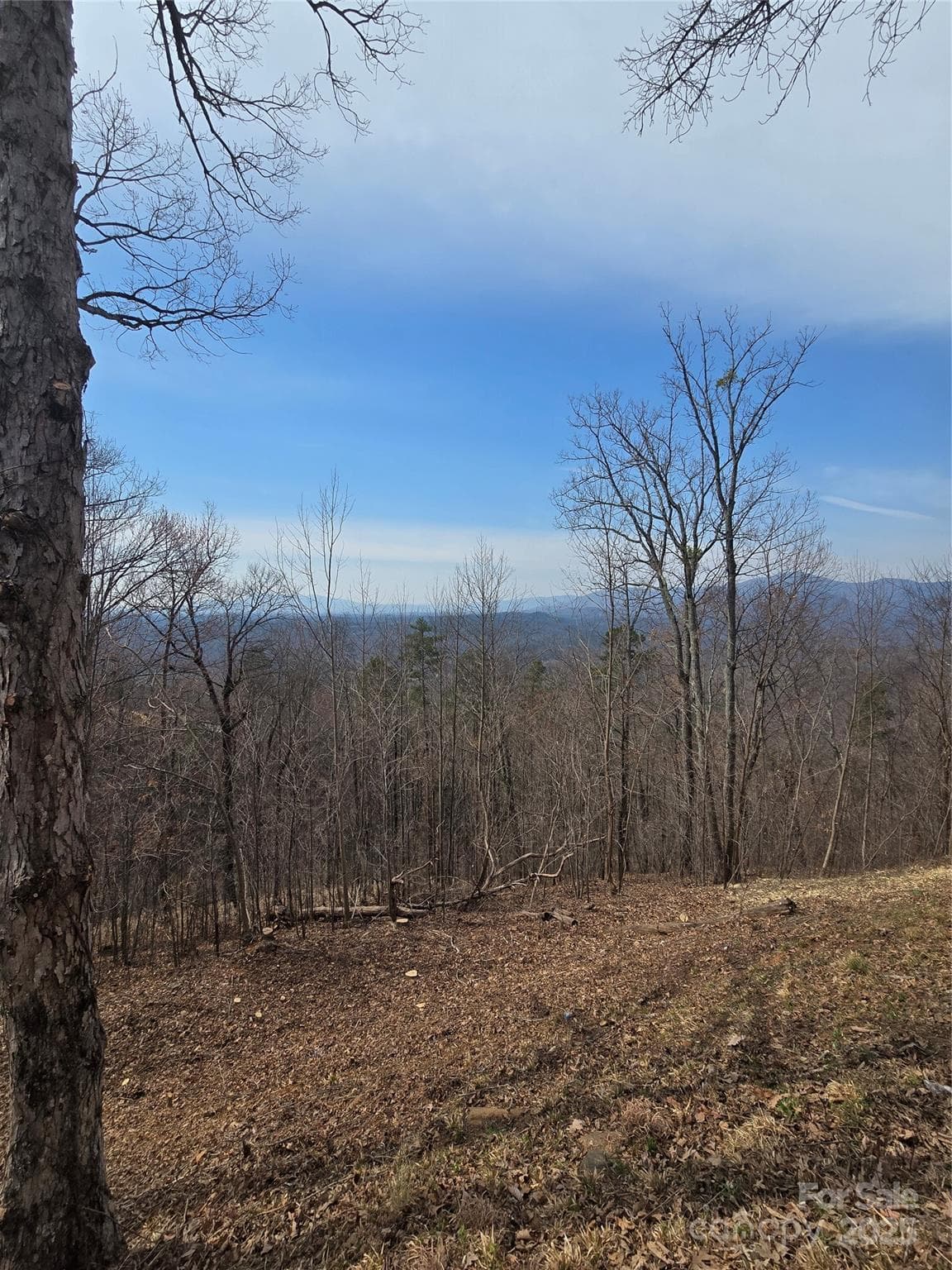 Acreage at 00 Golden Ridge Drive, Lake Lure, photo 8 of 26